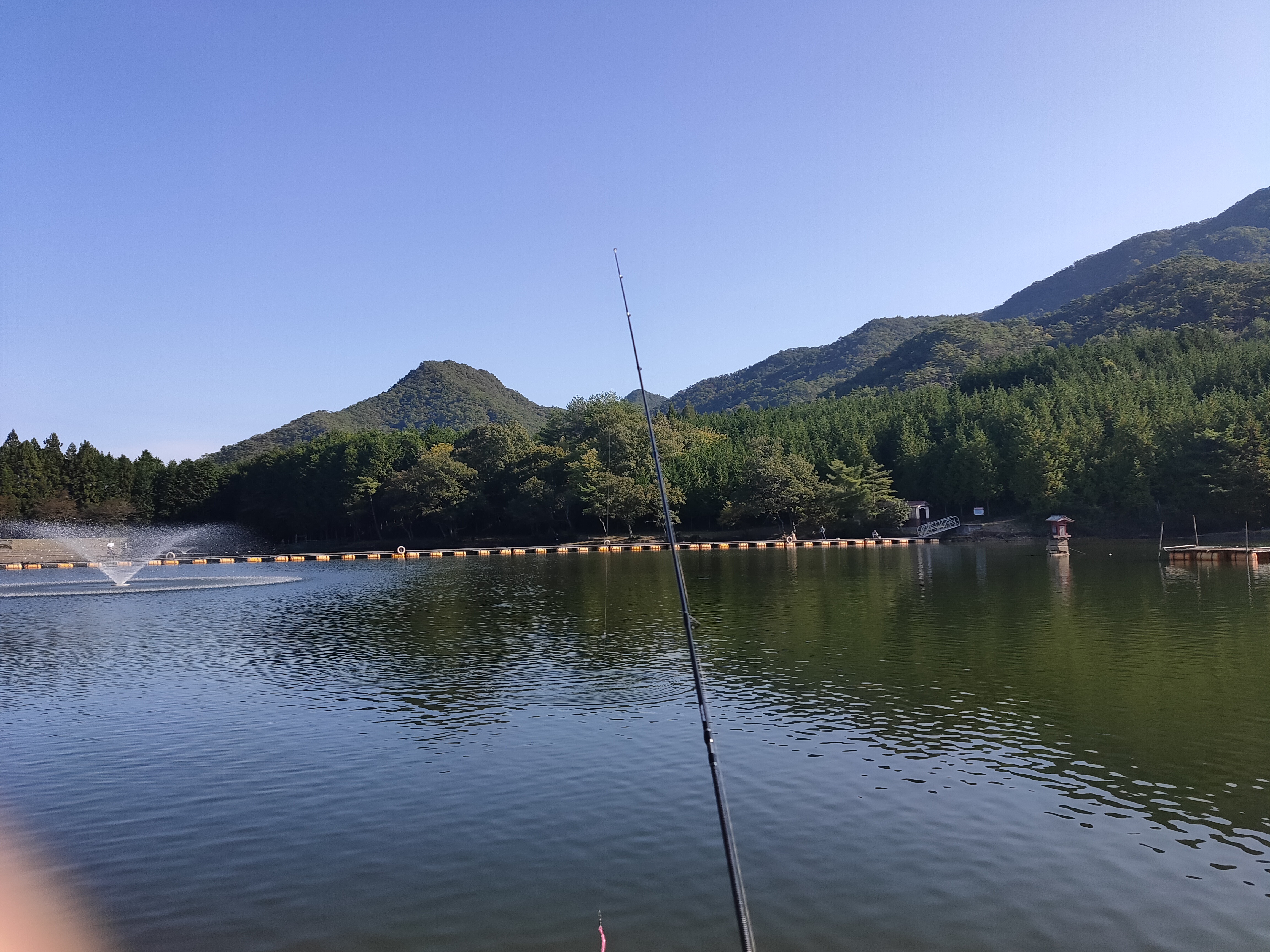 今年もこの季節がやってきました