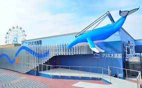 水族館に行ってきました！