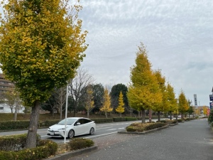 広島大学前店前の看板新しくなりました(^_-)-☆