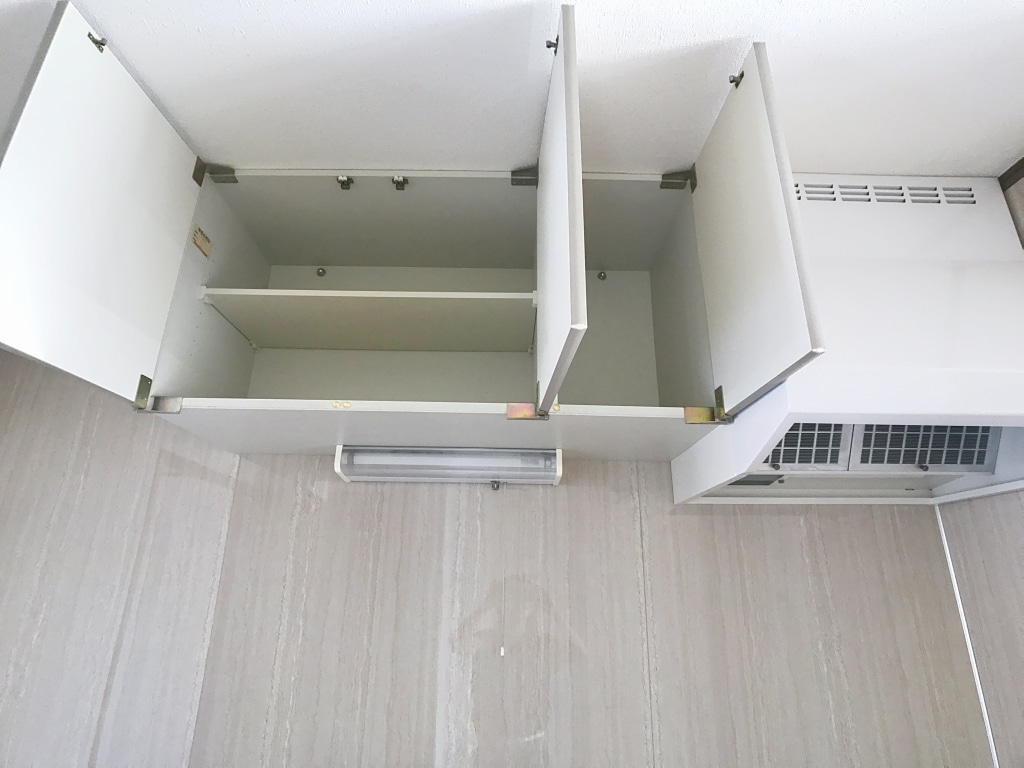 ニューグリーンL　1階　101