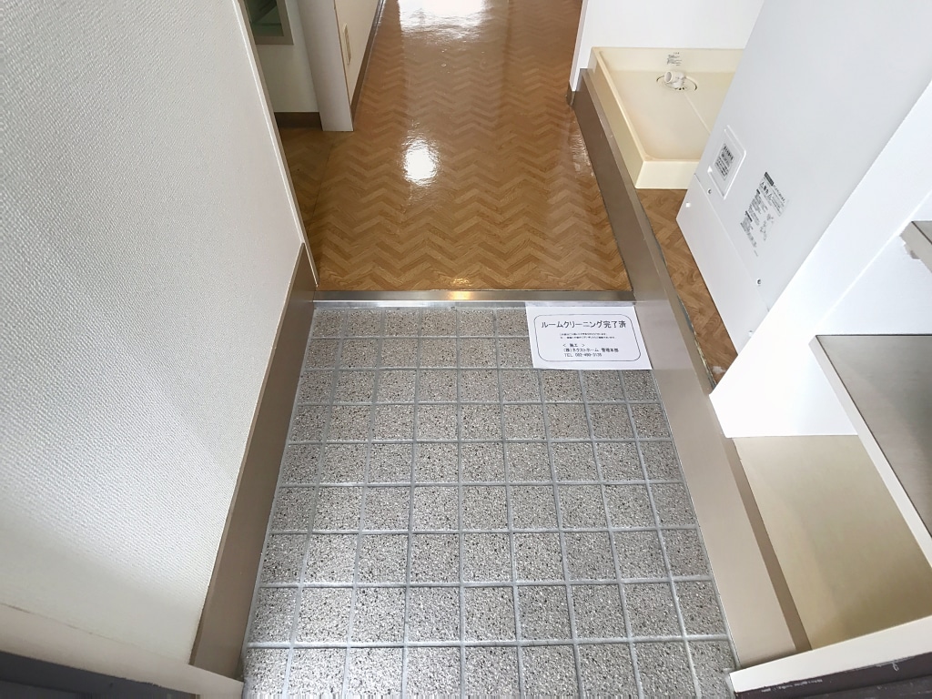 シビカエーノス　310