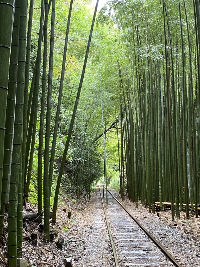 鳥取旅行