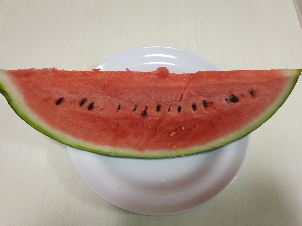 スイカはじめ🍉
