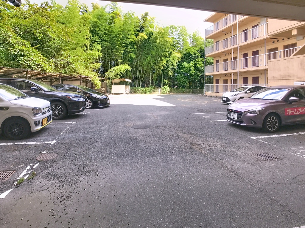 ヴァン・ゴッホ　B103