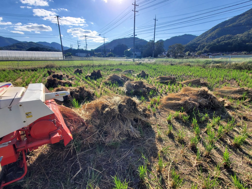 脱穀・精米・おすすめ物件！！