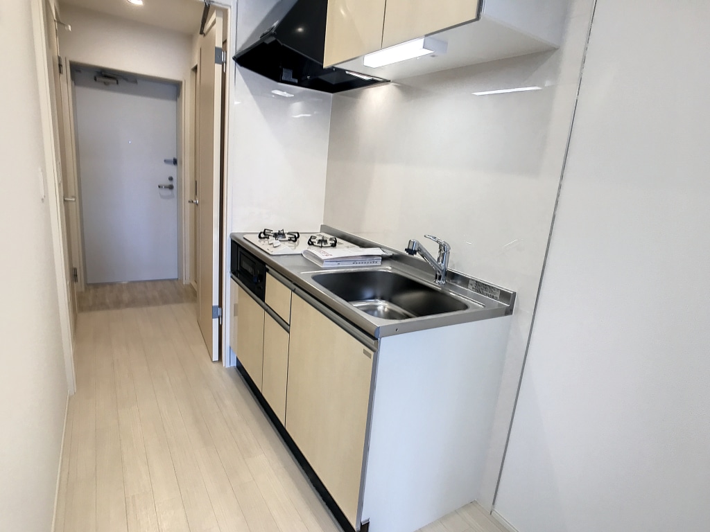 ファイン　ヴィラⅨ　303