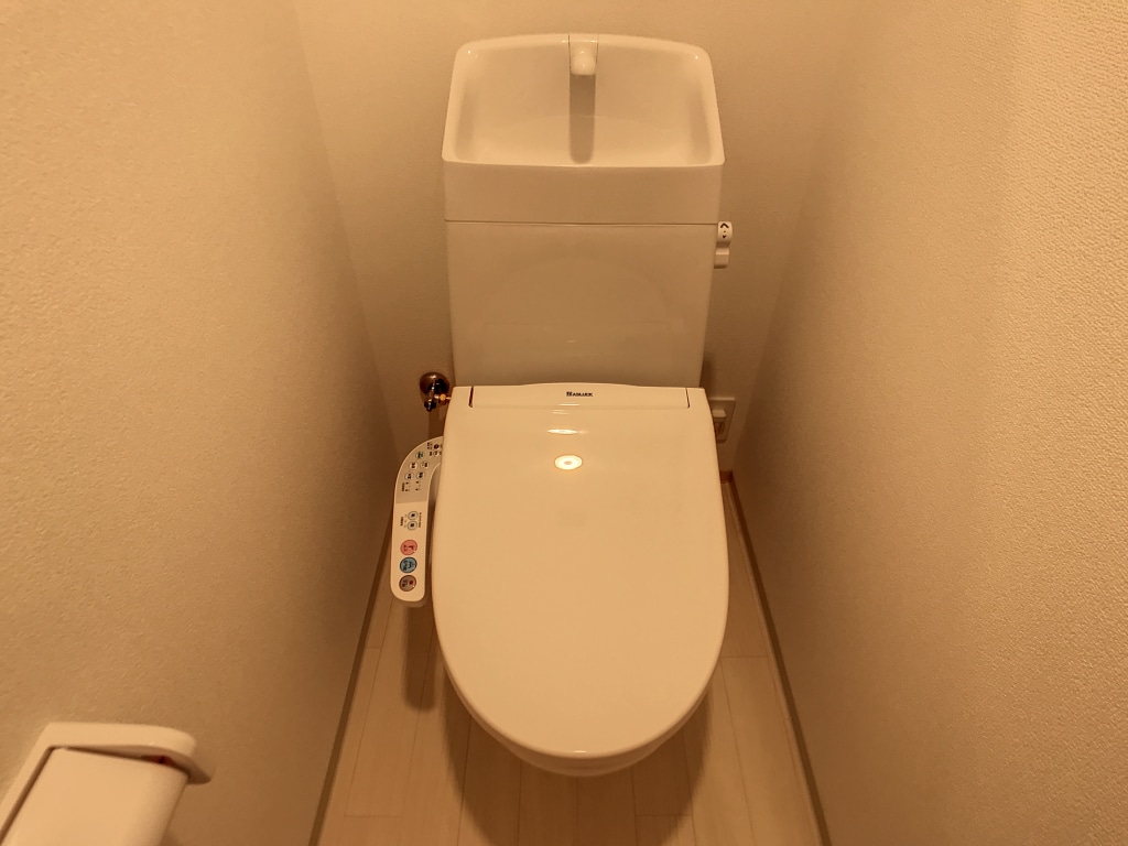 ファイン　ヴィラⅨ　303